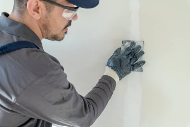 Best Forensic Mold Investigation  in New London, CT