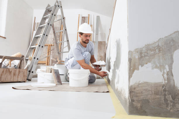  New London, CT Mold Removal Pros