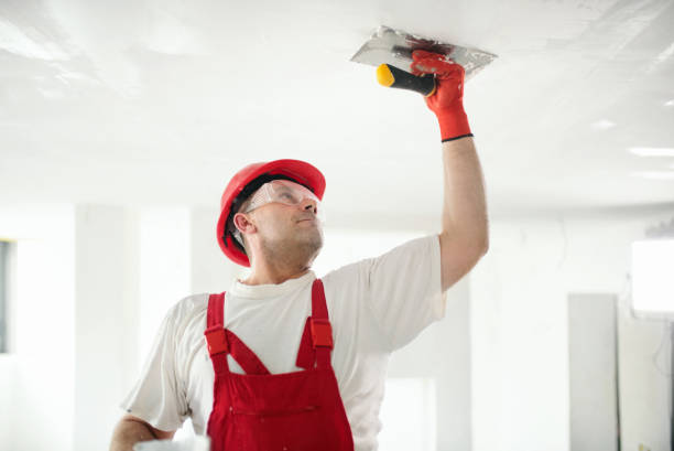 Best Industrial Mold Remediation  in New London, CT