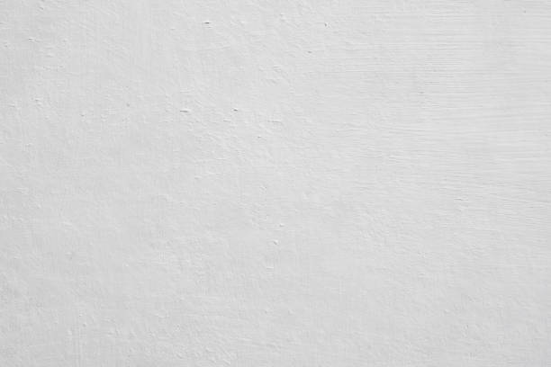 Best Basement Mold Removal  in New London, CT