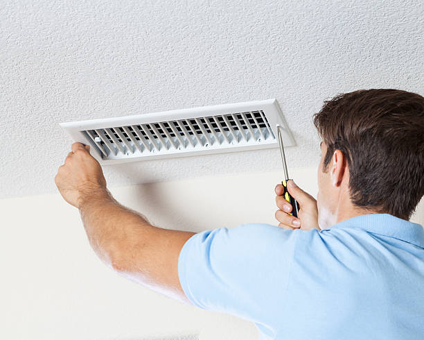 Professional Mold Removal in New London, CT